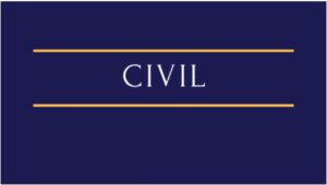 Contratos, indenização por danos morais e materiais (responsabilidade civil), representações, retificação de assento de nascimento (alteração do nome) e direito autoral (propriedade intelectual).