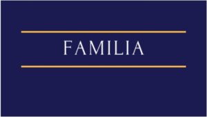 Pacto antenupcial, divórcio consensual, divórcio extrajudicial, divórcio litigioso, investigação de paternidade, pensão alimentícia, pedido de guarda, regulamentação de visitas, partilha de bens, inventário judicial, inventário extrajudicial e testamentos.